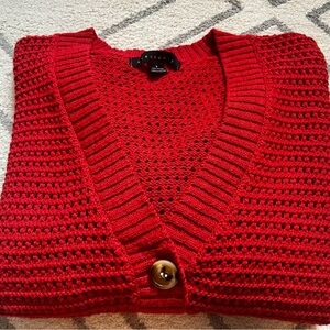 Red Sweater by Sanctuary